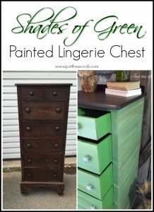 green-painted-lingerie-chest, staten island, painted furniture