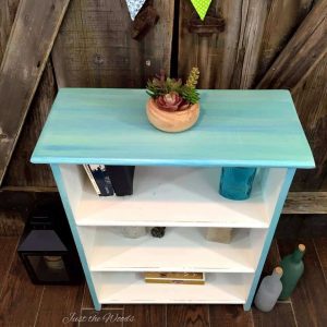 Coastal Painted Bookcase / Just the Woods