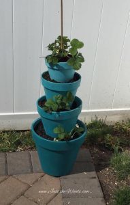 How to Create a Stacked Strawberry Garden 