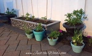 Update the yard with raised garden beds - Paint, stencil and sealed by Just the Woods