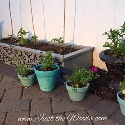 How to Spruce Up the Garden with Raised Garden Beds