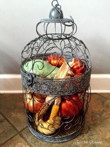 Birdcage for Home Decor