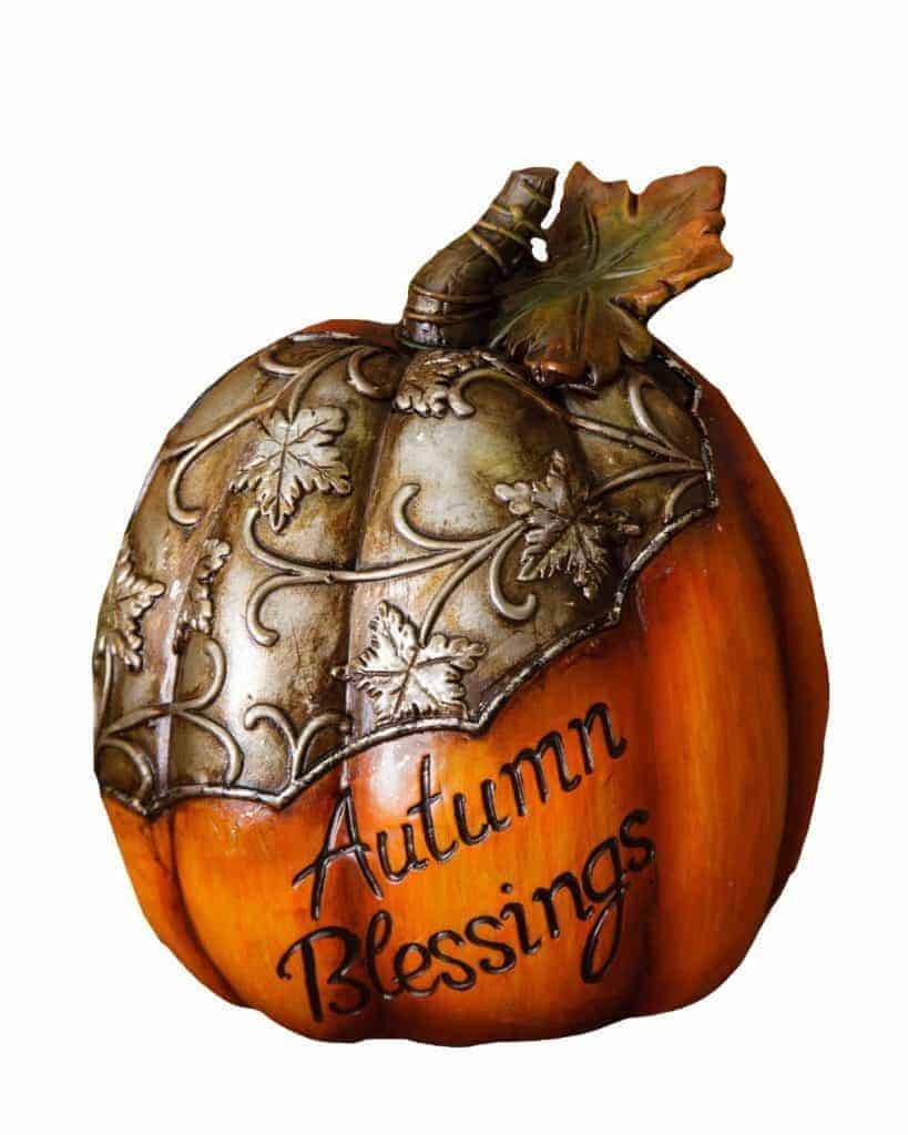 Farmhouse style Fall Decor and Other Items for the Home