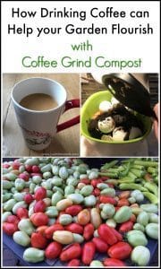 coffee-grind-compost, garden, compost, 