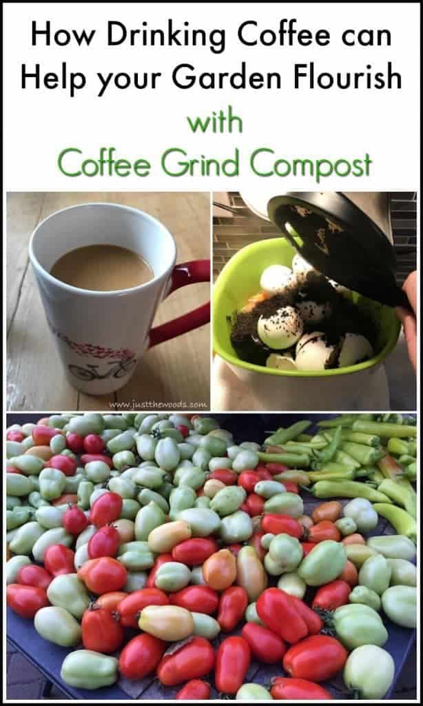 Coffee Grind Compost for the Garden by Just the Woods