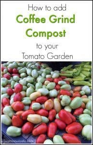 compost-to-your-garden