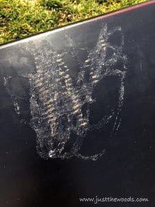 mystery-damage, damaged furniture, damaged bench