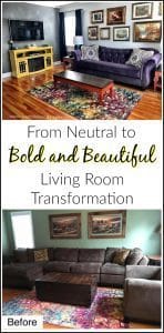 neutral-to-bold-living-room, bold living room ,living room makeover just the woods, nyc, new york, interior design