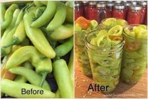 peppers-in-jars, jarred peppers, garden grown