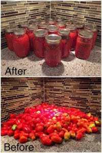 tomato-sauce, home made sauce, compost, garden 