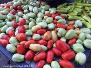 tomatoes-and-peppers, garden harvest, coffee grind compost