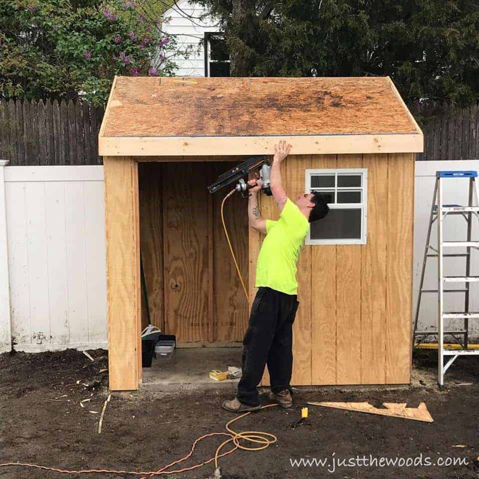 add-fascia, build a shed