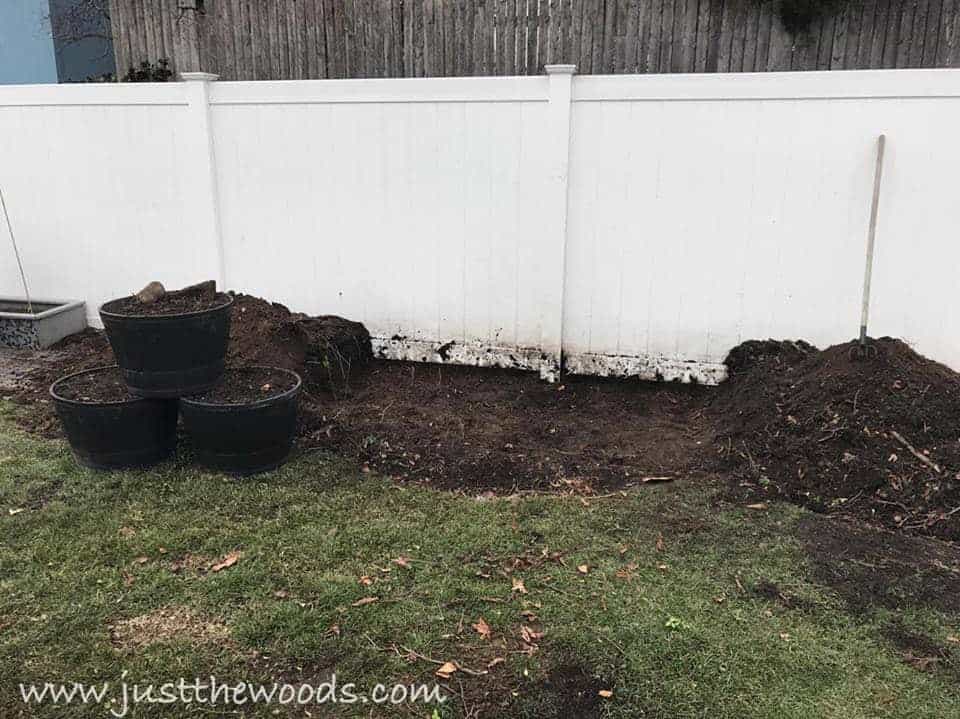 clear-out-area-for-shed, build a shed, staten island, just the woods