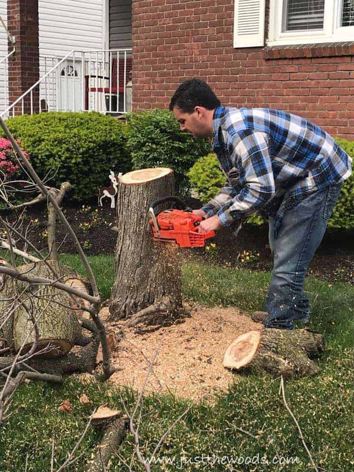 5 Ways To Chop A Tree: Chop Down A Tree – TTTKIP