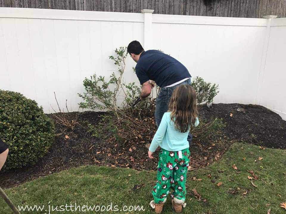 cut-out-bushes, diy with kids, garden with kids, how to build a shed