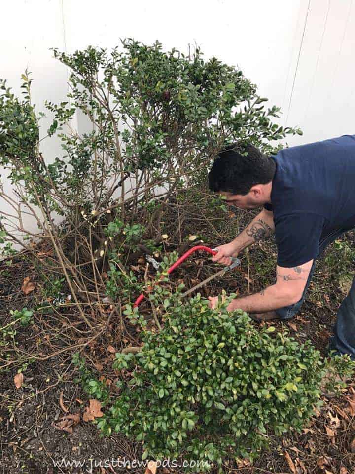 cutting-branches, build a shed with kids