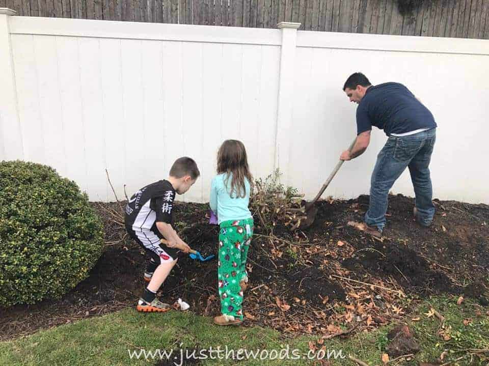 dig-out-bushes, garden with kids, diy with kids