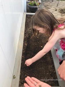 drop-seeds-in-garden, gardening with kids