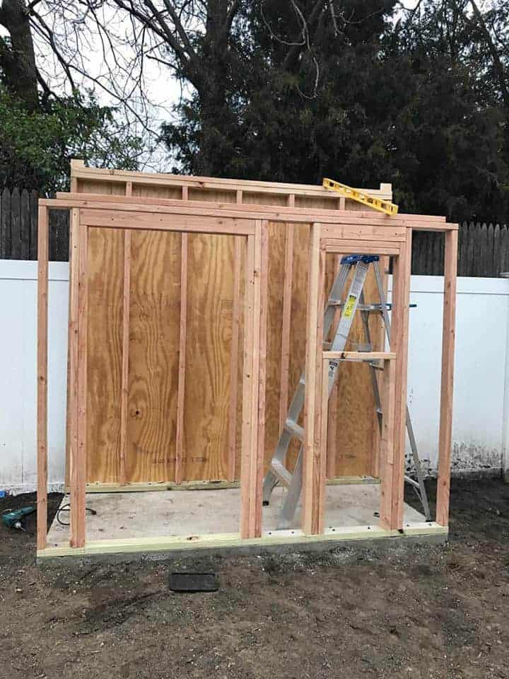 framed-out-shed-walls