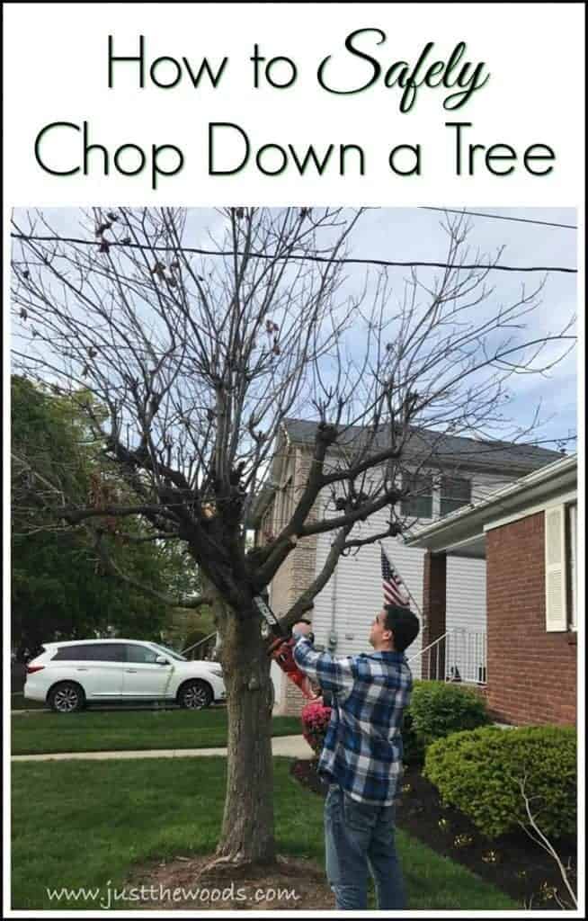 How to Safely Chop Down a Tree by Just the Woods