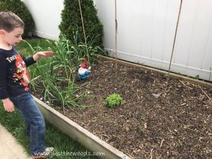 kids-know-garden, gardening with kids, backyard garden, how to garden with kids