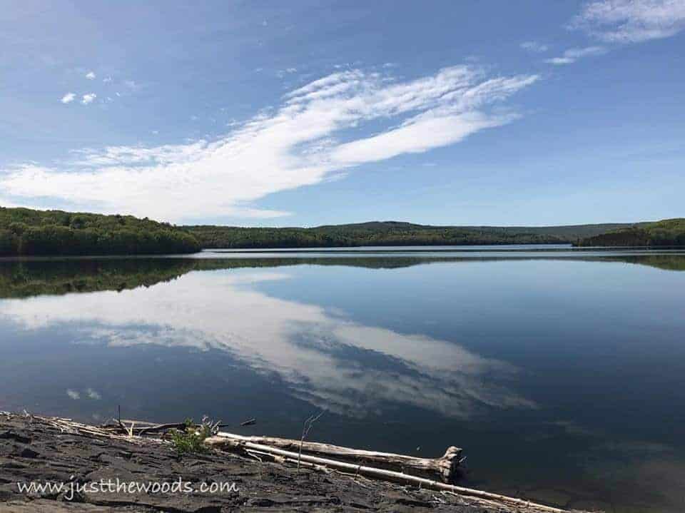 neversink reservoir