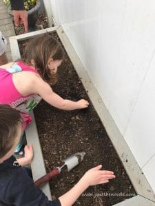 planting-seeds, gardening with kids