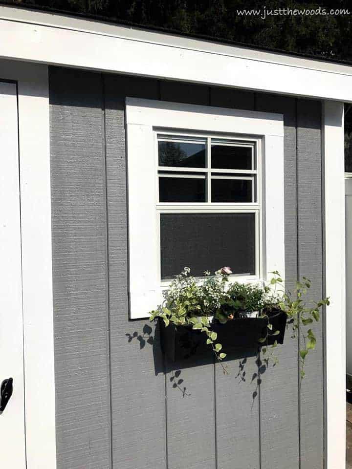 shed-with-flower-box