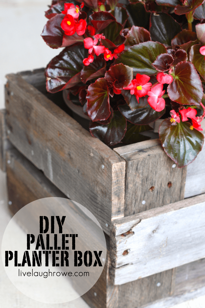 Gardening with Kids &amp; 20 DIY Outdoor Planters by Just the 