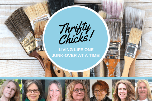 Thrifty Chicks monthly blog project share. 