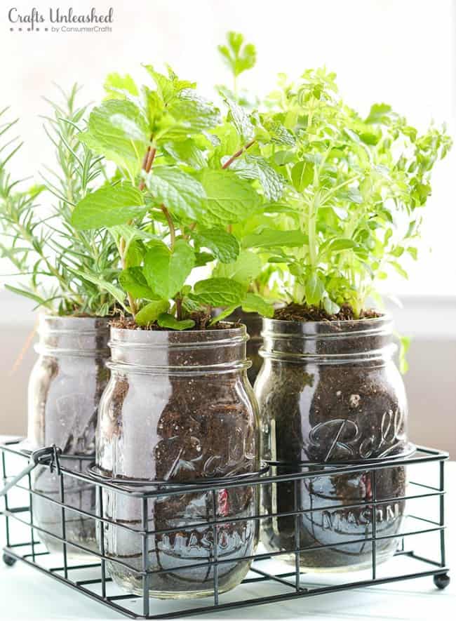 diy herb garden, diy kitchen projects, mason jar ideas