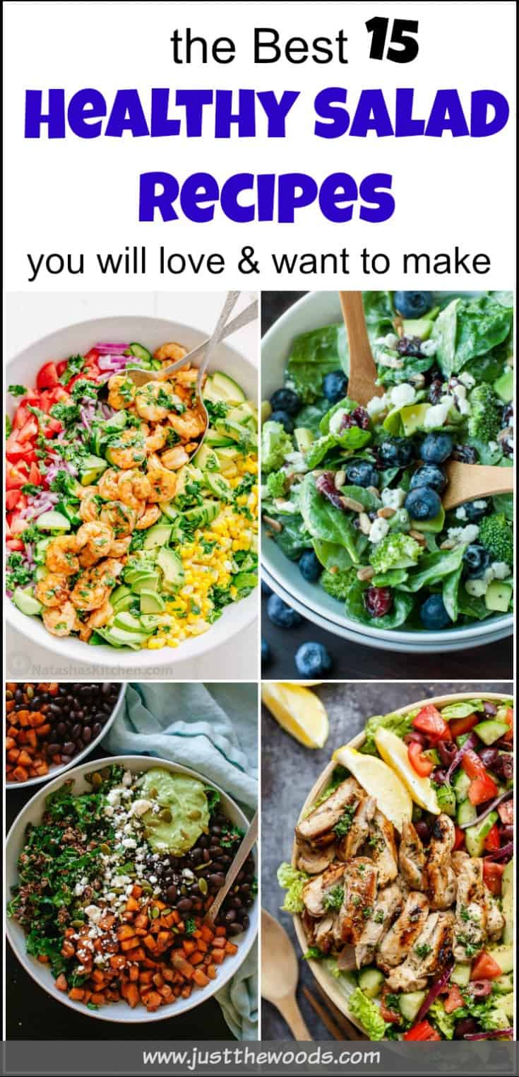 the Best Healthy Salad Recipes You Will Love, A healthy salad can make you feel better and taste delicious. These easy healthy salad recipes give you a variety to chose. Chicken salad recipes, shrimp and avocado recipes, apple walnut salad recipes, healthy salad recipes for the whole family. 