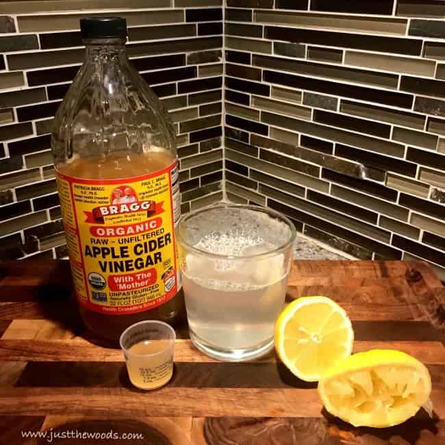 apple cider vinegar, ACV, organic apple cider vinegar with the mother
