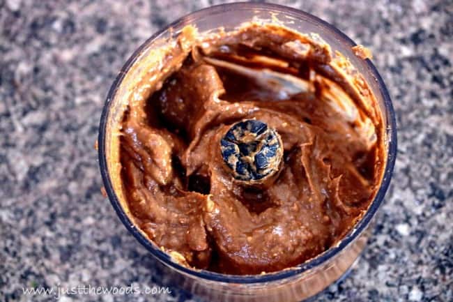 healthy chocolate pudding, vegan chocolate pudding, avocado chocolate pudding