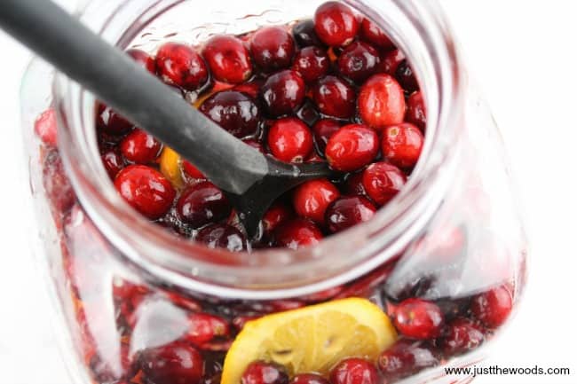 alcohol soaked fruit, spiked punch, punch with alcohol, alcoholic punches