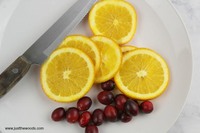 spiked punch, sliced oranges, cranberries