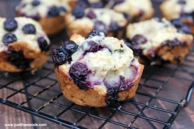 healthy blueberry muffin recipes, blueberry oat muffins, blueberry oatmeal muffins