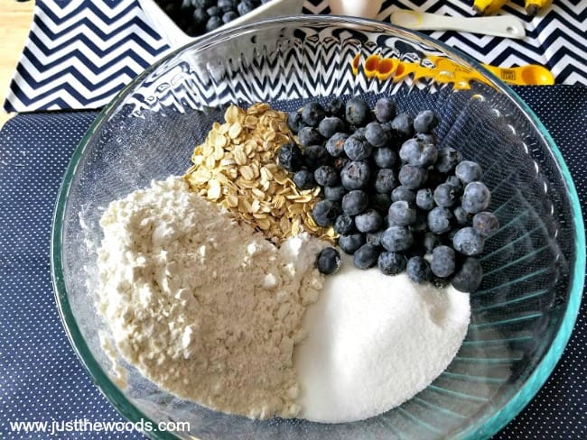 gluten free blueberry oat muffins, healthy oat muffins, blueberry muffin recipes