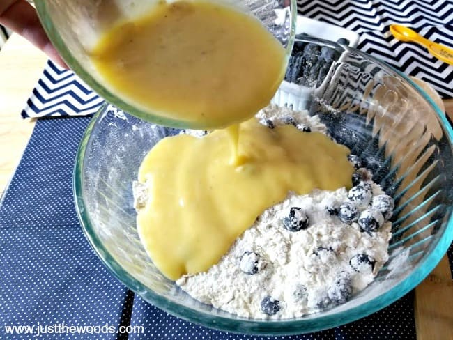 healthy blueberry oat muffins, blueberry oatmeal muffins, oatmeal berry muffins