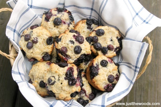 blueberry oat muffins, healthy blueberry oat muffins, blueberry muffin recipe, gluten free