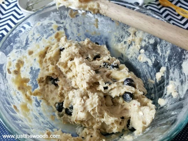 healthy blueberry oatmeal muffins, blueberry oat muffins