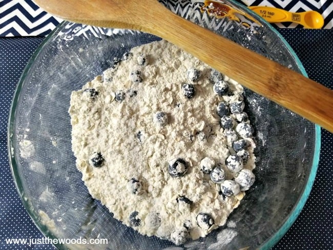 healthy blueberry muffin recipe, blueberry oat muffins, how to make blueberry muffins