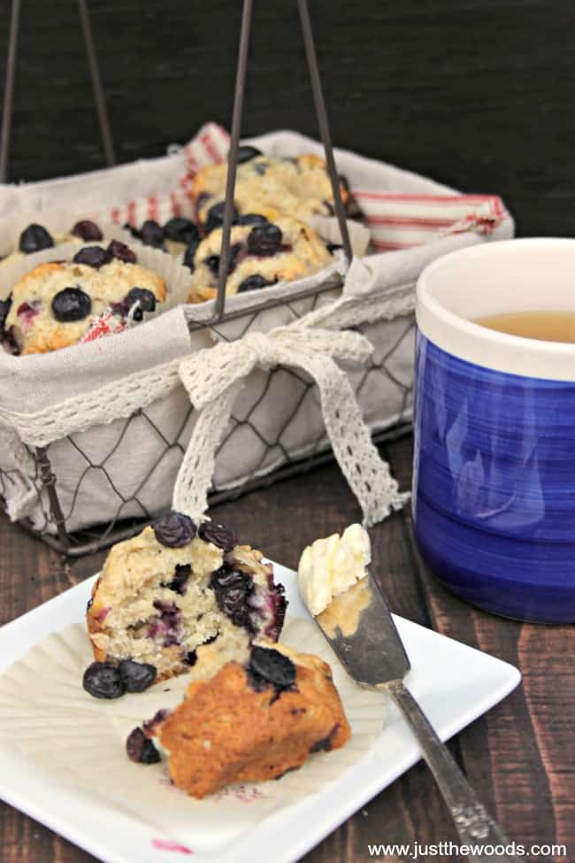 blueberry oat muffins, blueberry muffins, how to make blueberry muffins, blueberry oatmeal muffin recipes