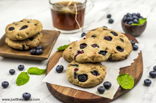 blueberry scones without cream, how to make scones from scratch, This healthy lemon blueberry scones recipe is paleo friendly and gluten free. These blueberry lemon scones are also delicious and easy to make. See how to make blueberry scones the easy way for a healthy breakfast or afternoon snack. A few simple ingredients for scones to make the best blueberry scones with lemon. #blueberrylemonscones #paleoscones #lemonbluberryscones #easybluberryscones