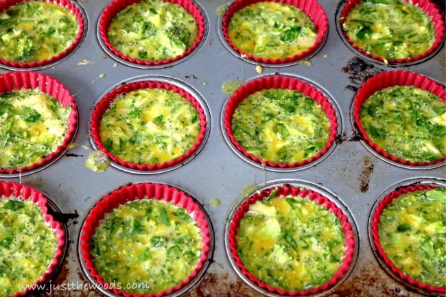 egg muffins in oven, muffin pan eggs, how long to cook egg muffins