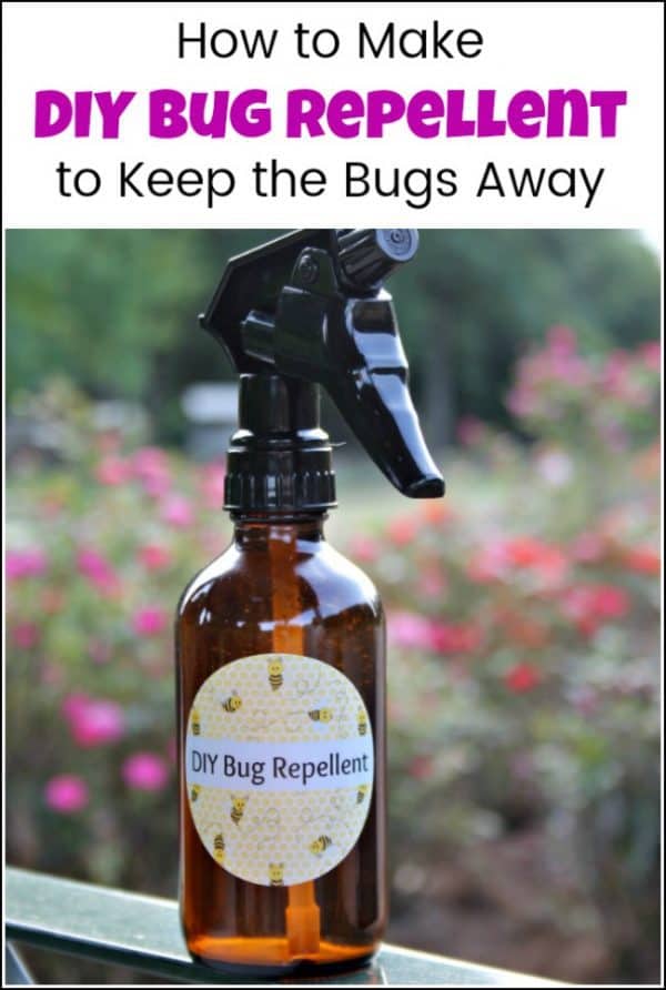 How to Make DIY Bug Repellent Spray to Keep the Bugs Away