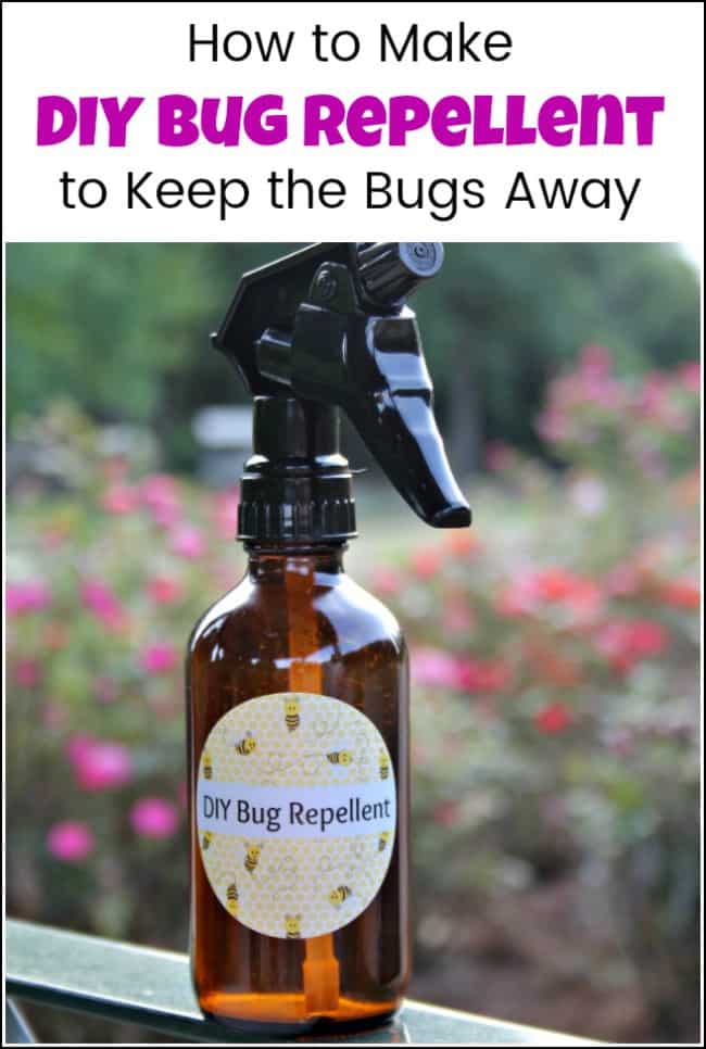 For when you need a DIY bug repellent recipe that is easy to make and all natural. Make homemade bug spray with essential oils to keep those pesky bugs away. Homemade bug repellent that can be safe and effective to enjoy nature with the ones you love. #diybugrepellent #homemadebugspray #homemadebugrepellent #naturalbugspray