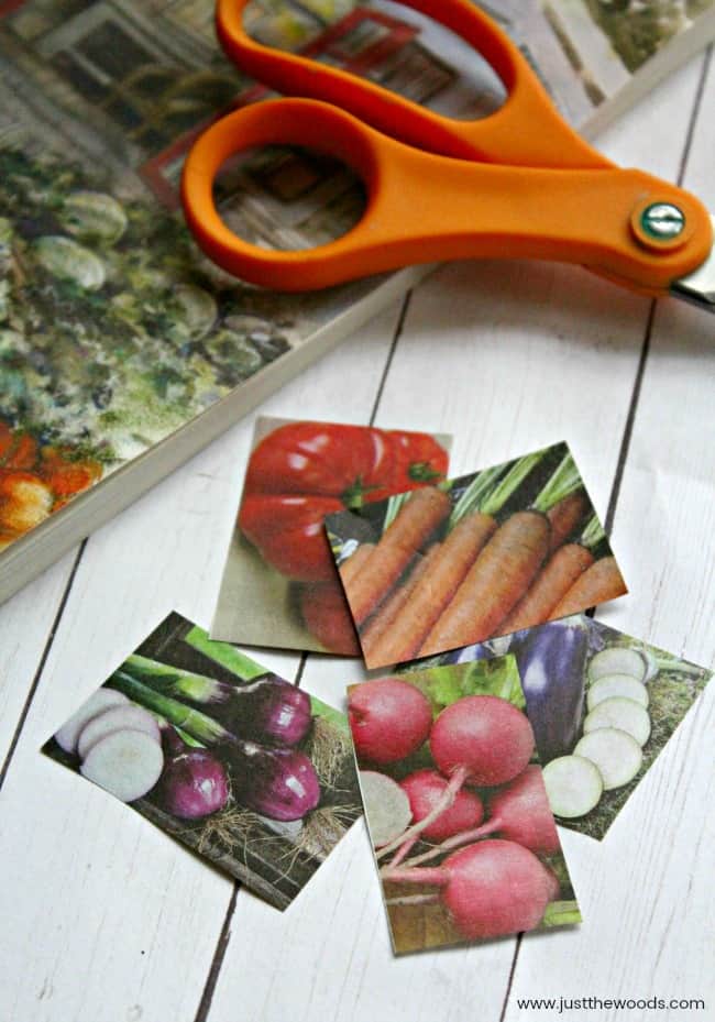 plant markers, garden markers, vegetable identification tags