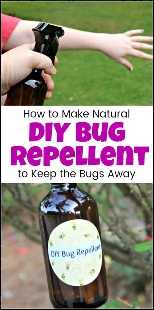 For when you need a DIY bug repellent recipe that is easy to make and all natural. Make homemade bug spray with essential oils to keep those pesky bugs away. Homemade bug repellent that can be safe and effective to enjoy nature with the ones you love. #diybugrepellent #homemadebugspray #homemadebugrepellent #naturalbugspray