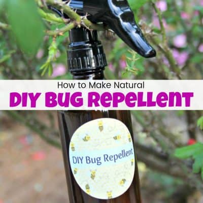 How to Make DIY Bug Repellent Spray to Keep the Bugs Away